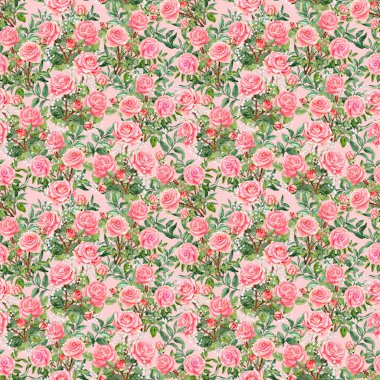 Pembe üzerinde açık pembe güller olan kusursuz bir desen. Paketleme veya tekstil için döngü arkaplan. Anneler günü için kırılgan tasarım