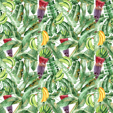 Tekstil ve ambalaj kağıdı için elle çizilmiş pürüzsüz desen. Muz palmiyesi yapraklarının suluboya çizimi, yeşil ve sarı muzlar, tropik yeşillik. Yağmur ormanları yeşilliği. Muz ağacı çiçeği.