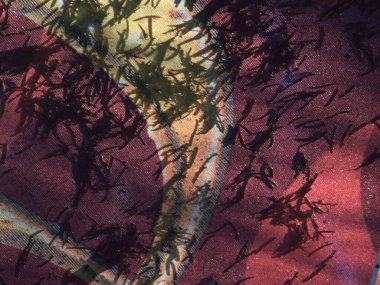 Çadır ağacının altında renkli bir şemsiye ve çatısına düşen iğnelerin ayrıntıları. Paket kağıdı olarak kullanılabilir ilginç soyut desen veya tasarım