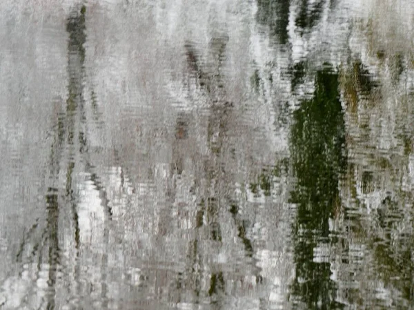 Göletin yüzeyindeki karla kaplı ağaçların yansıması. Soyut kış arkaplanı