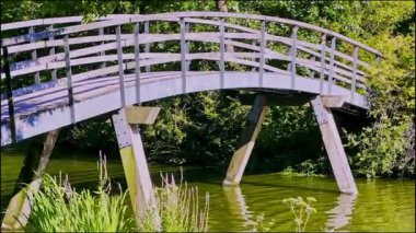 Gölün üzerinde güneşli ahşap köprü, yemyeşil ağaçlar ve sazlıklar ahşap kemer, kıvrımlı yansıyan yumuşak su yansıması