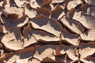 Güney Utah, ABD 'de yakın plan kahverengi çamur kıvrımlı bir makro..