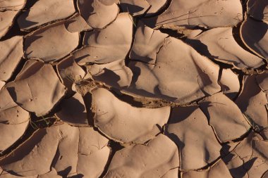 Çatlak kuru toprağın yakın çekimi