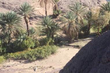 Ouarzazate, Fas 'a yakın.