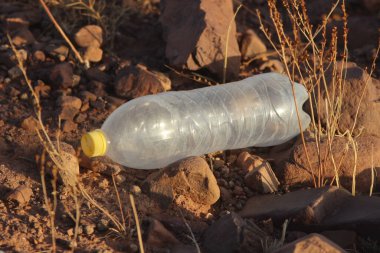 Yerde yatan plastik bir şişe, plastik kirlilik, plastik çevresel etki.