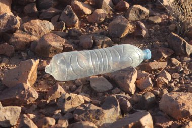 Yerde yatan plastik bir şişe, plastik kirlilik, plastik çevresel etki.