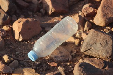 Yerde yatan plastik bir şişe, plastik kirlilik, plastik çevresel etki.