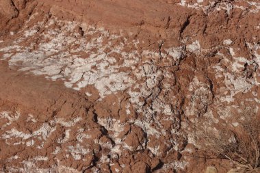 Çöl topraklarında yayılan beyaz tuz birikintilerinin yakın çekim görüntüsü