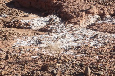 Çöl topraklarında yayılan beyaz tuz birikintilerinin yakın çekim görüntüsü
