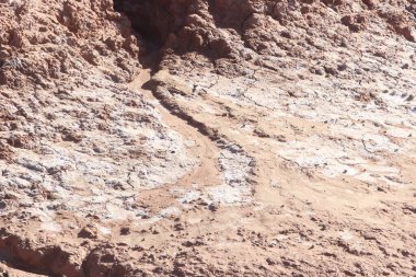 Çöl topraklarında yayılan beyaz tuz birikintilerinin yakın çekim görüntüsü