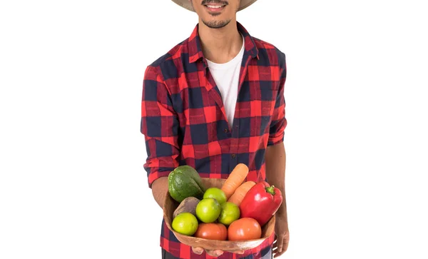 Landwirt Mittelteil Hält Einen Korb Mit Gemüse Karotten Zitrone Tomaten — Stockfoto