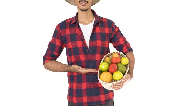 Midsection Zemědělce Drží Košík Ovoce Pomeranč Manga Avokádo Khaki Izolované — Stock fotografie