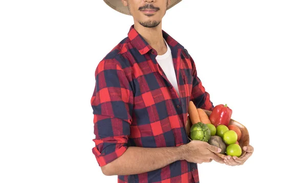 Farmer Midsection Holding Basket Vegetables Carrot Lemon Tomatoes Chayote Beet — Stock Photo, Image