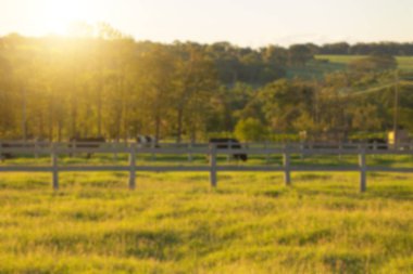 Hayvanlarla ve günbatımıyla kırsal arka plan bulanık. Çiftlik konsepti resmi.