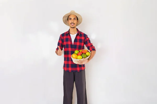 Farmer black man with hat and gloves holding a basket of vegetables (carrot, lemon, tomatoes, chayote and beet) isolated in white background