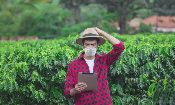 Farmář Kovidskou Pandemickou Maskou Tabletou Plantážové Farmě — Stock fotografie