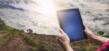 Gün batımında kırsal alanda kahve tarlasında tablet bilgisayarlı bir çiftçi..