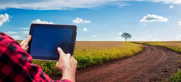 Agricultor Com Computador Tablet Campo Campo Plantação Soja Pôr Sol — Fotografia de Stock