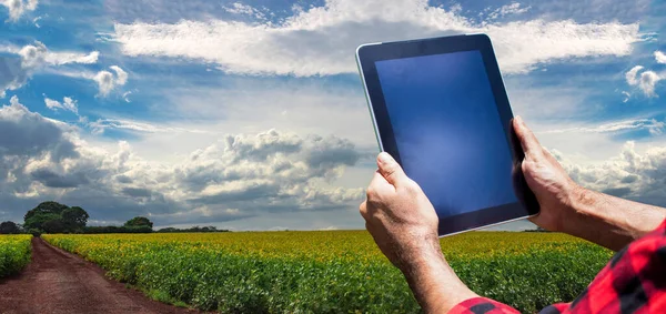 Agricultor Com Computador Tablet Campo Campo Plantação Soja Pôr Sol — Fotografia de Stock