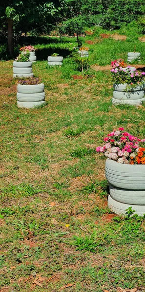 Bunter Blumengarten Aus Recycelbaren Materialien Einfacher Lebensstil Und Gewissenhaftes Grünes — Stockfoto