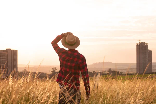 Agricultor Con Sombrero Finca Plantación Atardecer Edificios Ciudad Fondo Borroso —  Fotos de Stock