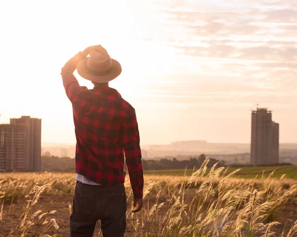 Contadino Con Cappello Piantagione Tramonto Edifici Città Sfondo Sfocato — Foto Stock