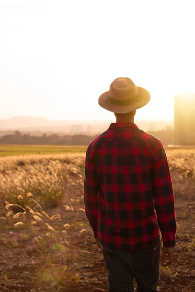 Agricultor Con Sombrero Finca Plantación Atardecer Edificios Ciudad Fondo Borroso — Foto de Stock