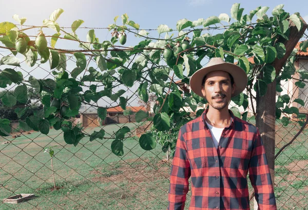 Zwarte Man Boer Met Hoed Boerderij Passievrucht Plant Achtergrond — Stockfoto