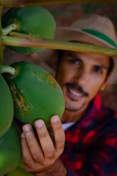 Werknemer Boer Analyseren Van Papaya Fruit Glimlachen Zoek Naar Camera — Stockfoto