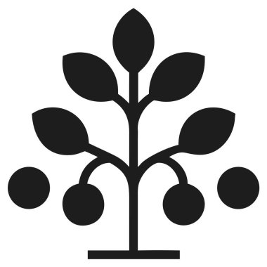 Birden fazla yaprağı ve yuvarlak meyve şekilleri olan biçimlendirilmiş bir bitkinin koyu bir silueti siyah arka planda gösterilir..