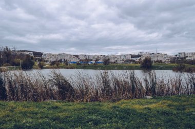 Göl ve yatakhanelerle kasvetli bir günde Uzak Doğu Federal Üniversitesi 'nin peyzajlı kampüs parkı.