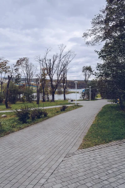 Routes Pavées Intérieur Parc Campus Université Fédérale Extrême Orient Automne — Photo