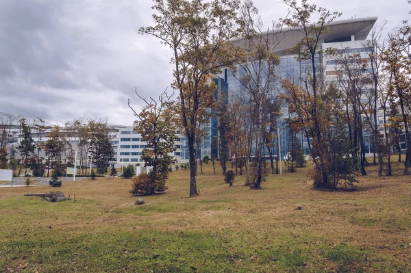 ロシアのウラジオストク 2020年10月6日 暗い秋の日に極東連邦大学のキャンパス内の公園 — ストック写真