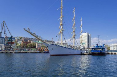 Güneşli bir günde Vladivostok şehri demirli gemiler ve kargo vinçleri manzaralı.