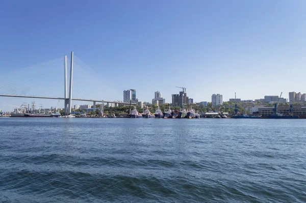 Golden horn bay with golden bridge in Vladivostok on sunny day