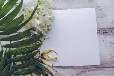 Plam yaprak ve ortanca çiçekleriyle süslenmiş beyaz kare boş kağıt levha.