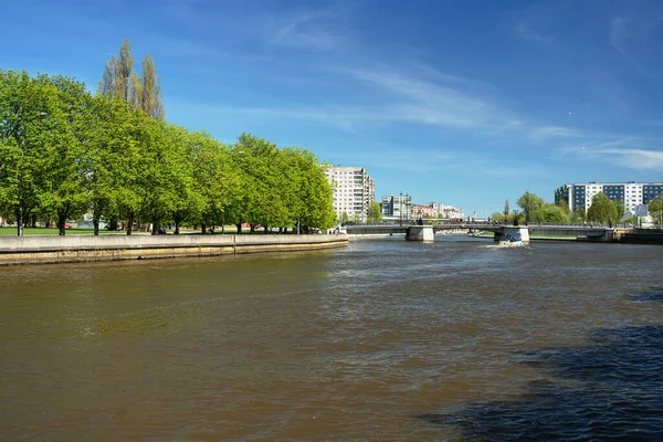 Вид Річку Преголя Біля Острова Кантс Калінінграді Сонячний Весняний День — стокове фото