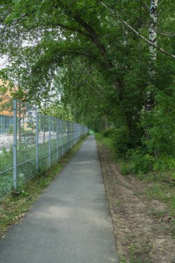 Çitin ötesindeki tesisin yakınlarında beton yolu olan huş ağaçları sokağı.