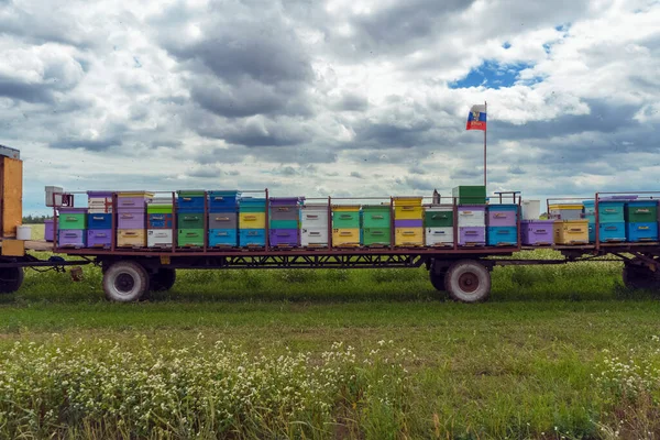 Vista Grupo Colmeias Abelhas Coloridas Trailer Para Coleta Móvel Venda — Fotografia de Stock