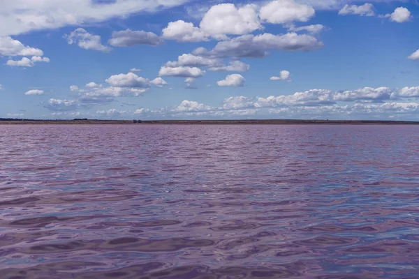Rosa Lago Salado Pechatnoye Región Altai Rusia Vuelve Rosa Clima —  Fotos de Stock