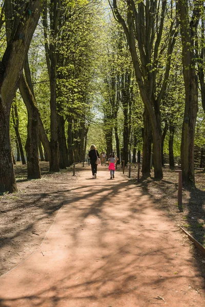 Kaliningrado Rusia Mayo 2021 Personas Caminando Callejón Del Parque Isla — Foto de Stock