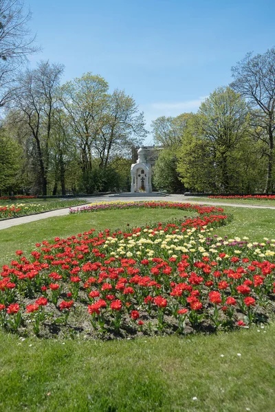 ロシアのカリーニングラード 2021年5月10日 チューリップが咲くことに囲まれた祖国の防衛者への記念碑 — ストック写真