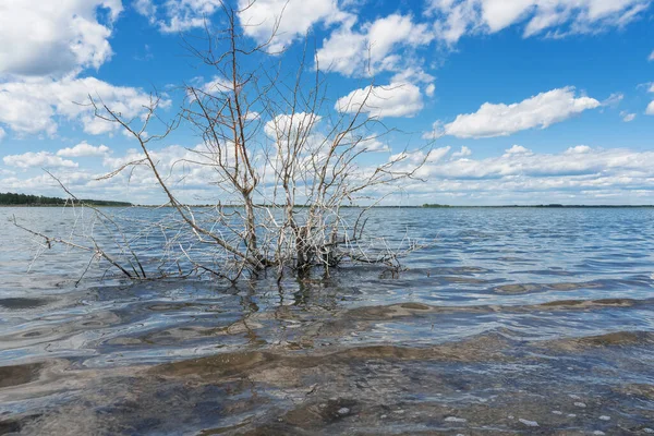 View Aftermath River Dam Burst Resulting Overflow Salty Lake Malinovoe —  Fotos de Stock