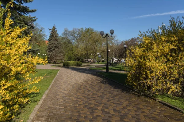 Kaliningrad Russia May 2021 Small Public Square Springtime Morning Blooming — Stock Photo, Image