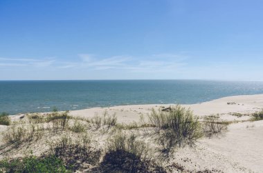 Güneşli bir günde Baltık Denizi ve Vysota Efa manzarası