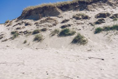 Güneşli bir günde Curonian tükürüğünün kum tepelerinin yakın görüntüsü