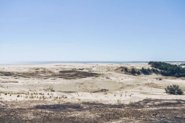 Güneşli bahar gününde, Vysota Efa 'daki kum tepeleri Curonian tükürük manzaralı.