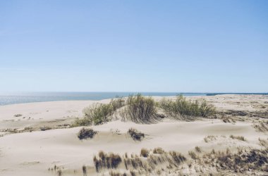 Güneşli bir günde, güneşli bir günde, Baltık Denizi manzarası. Kum tepeleri ve Vysota Efa manzarası.