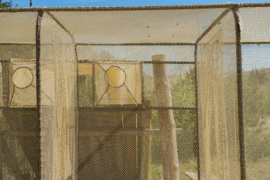 Fringilla Kuşbilimi 'nin en dar yerinde tuzaklar kurar. Kuş göçünü incele ve kuşları kuşat.