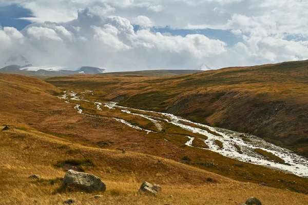 The Altai mountains, plateau Ukok. The untouched nature of the region — Stock Photo, Image